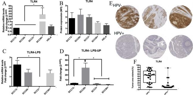 CD284 (TLR4) Antibody in Flow Cytometry (Flow)