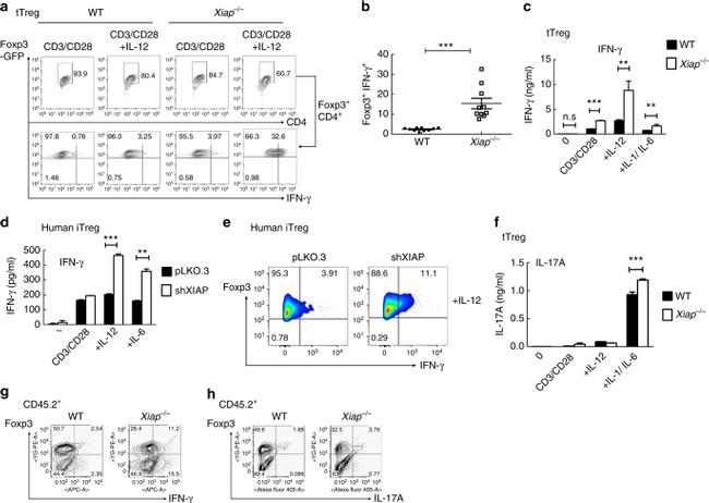 CD4 Antibody in Flow Cytometry (Flow)