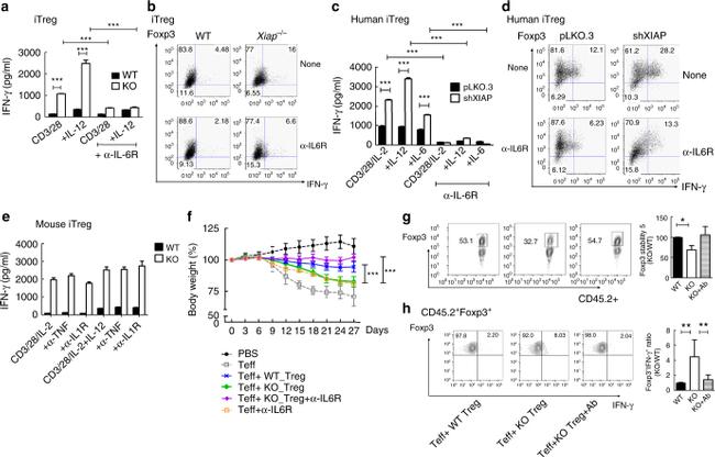 FOXP3 Antibody in Flow Cytometry (Flow)