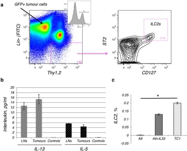 IL-33R (ST2) Antibody in Flow Cytometry (Flow)