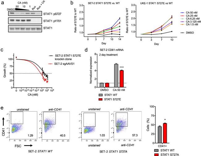 CD41a Antibody in Flow Cytometry (Flow)