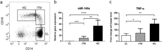 CD14 Antibody in Flow Cytometry (Flow)