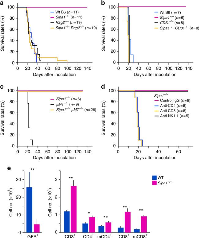 CD3e Antibody in Flow Cytometry (Flow)