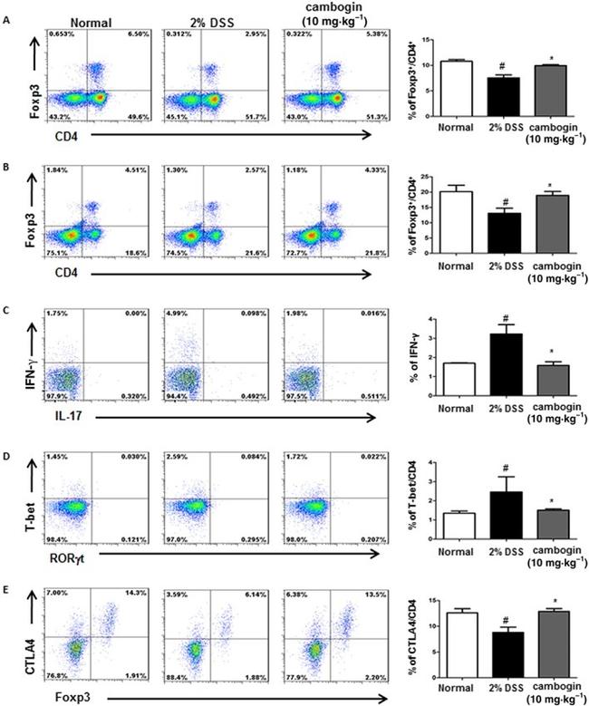 CD152 (CTLA-4) Antibody in Flow Cytometry (Flow)