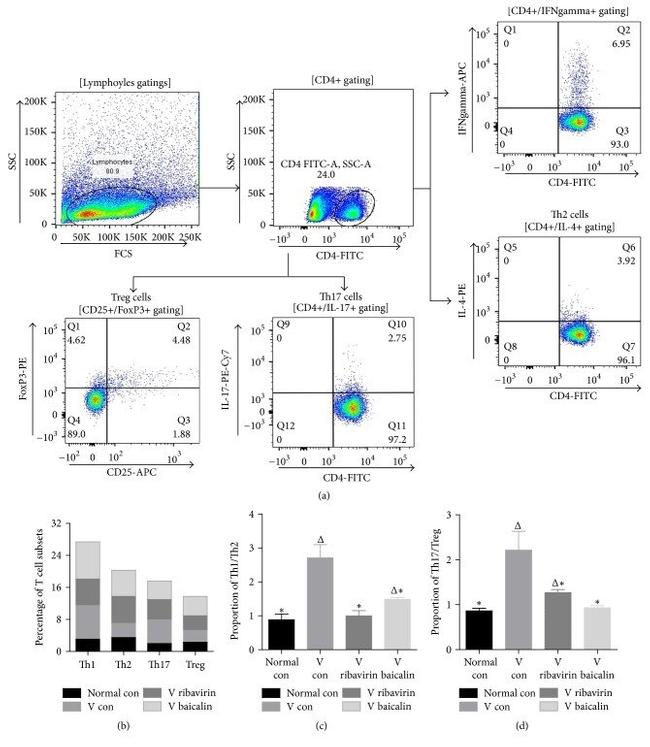 IFN gamma Antibody in Flow Cytometry (Flow)