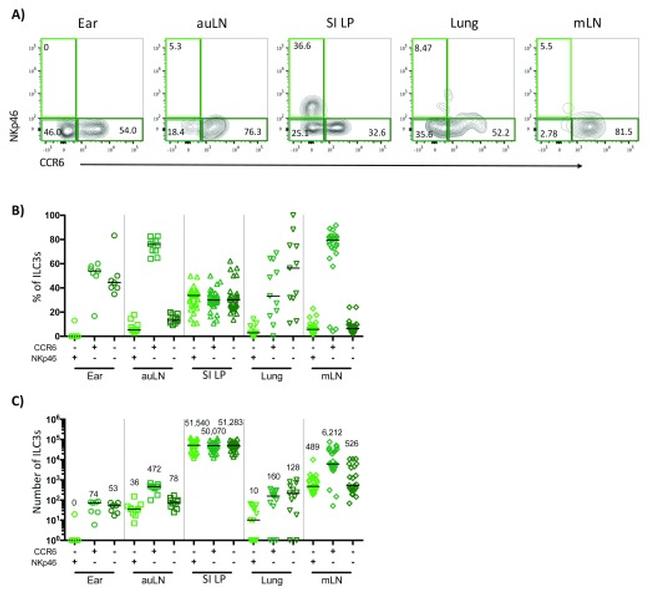 ROR gamma (t) Antibody in Flow Cytometry (Flow)