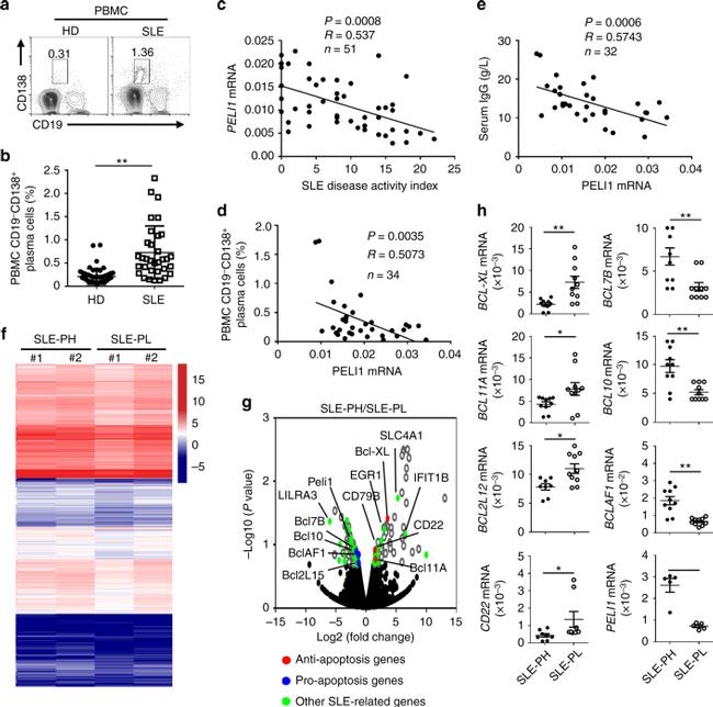 CD138 (Syndecan-1) Antibody in Flow Cytometry (Flow)