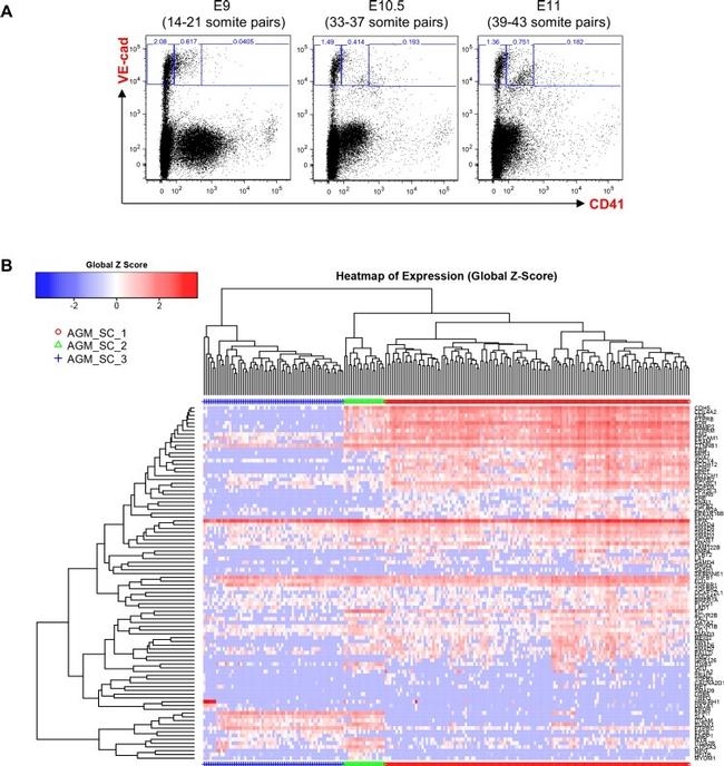 CD41a Antibody in Flow Cytometry (Flow)