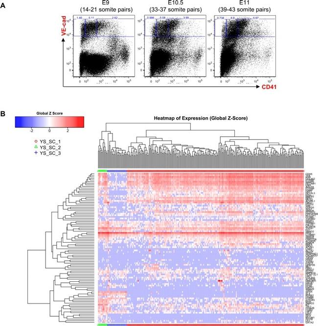 CD144 (VE-cadherin) Antibody in Flow Cytometry (Flow)