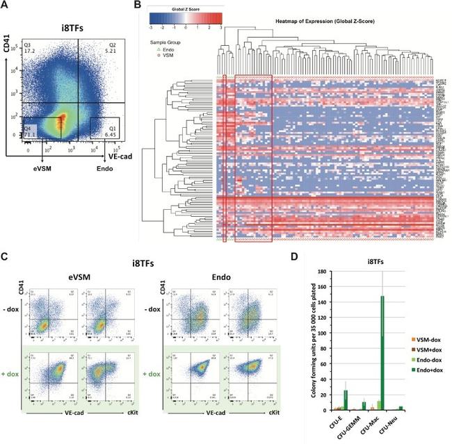 CD41a Antibody in Flow Cytometry (Flow)