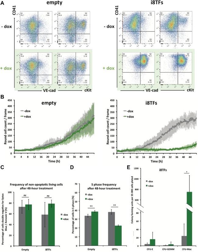 CD309 (FLK1) Antibody in Flow Cytometry (Flow)