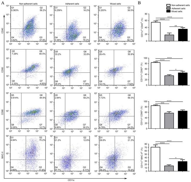 MHC Class II (I-A/I-E) Antibody in Flow Cytometry (Flow)