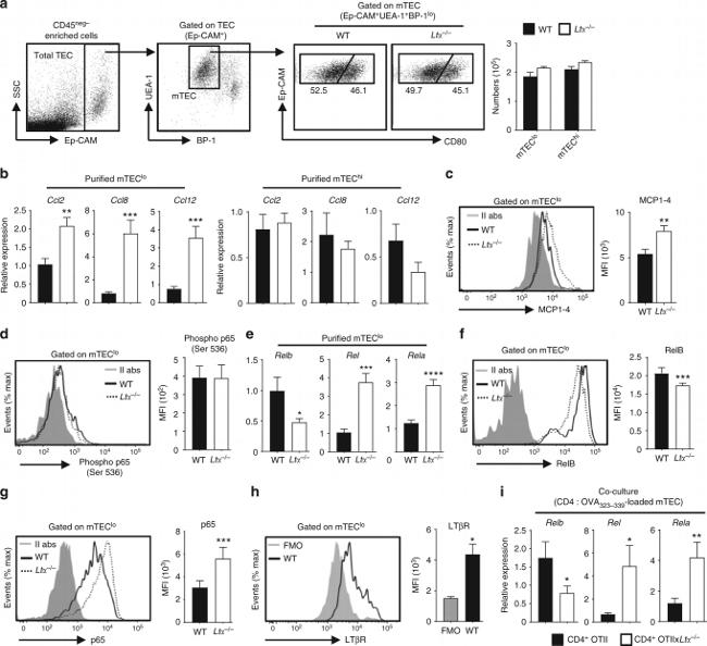 Lymphotoxin beta Receptor Antibody in Flow Cytometry (Flow)