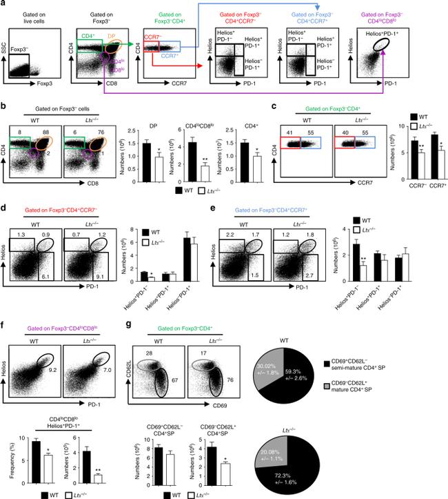 FOXP3 Antibody in Flow Cytometry (Flow)