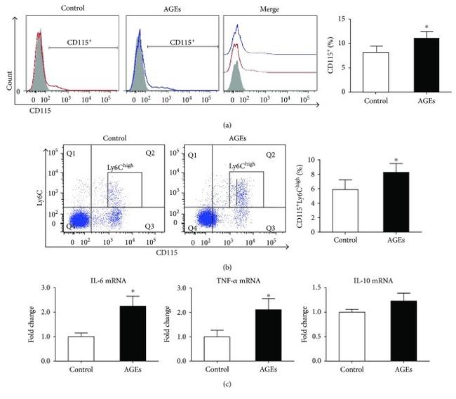 CD115 (c-fms) Antibody in Flow Cytometry (Flow)