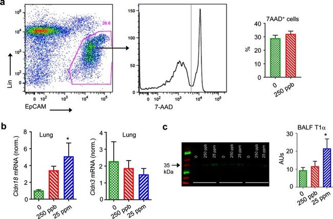 CD326 (EpCAM) Antibody in Flow Cytometry (Flow)