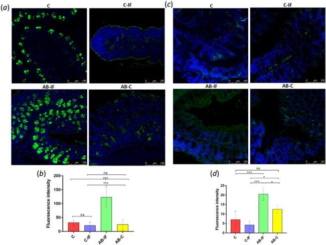 IL-23 p19 Antibody in Neutralization (Neu)