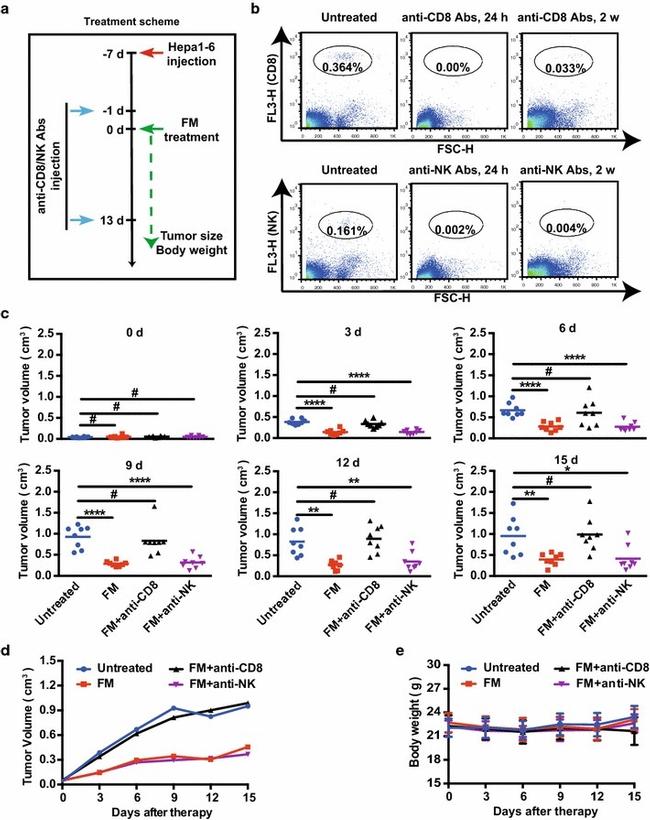 NK1.1 Antibody in Flow Cytometry (Flow)