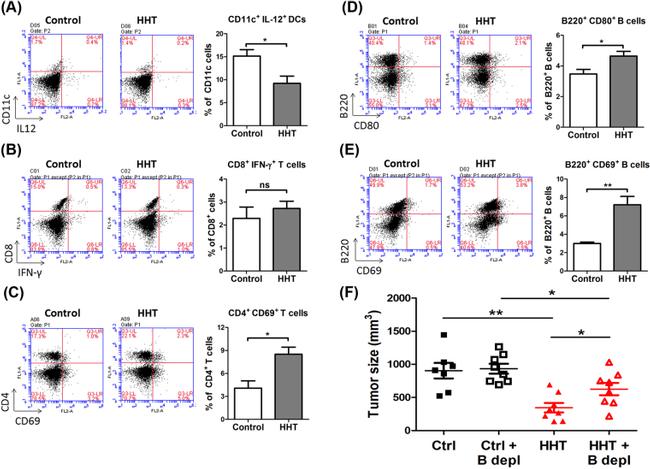 CD69 Antibody in Flow Cytometry (Flow)