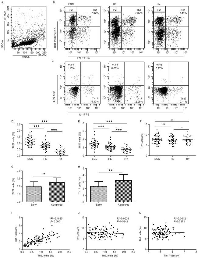 IL-22 Antibody in Flow Cytometry (Flow)