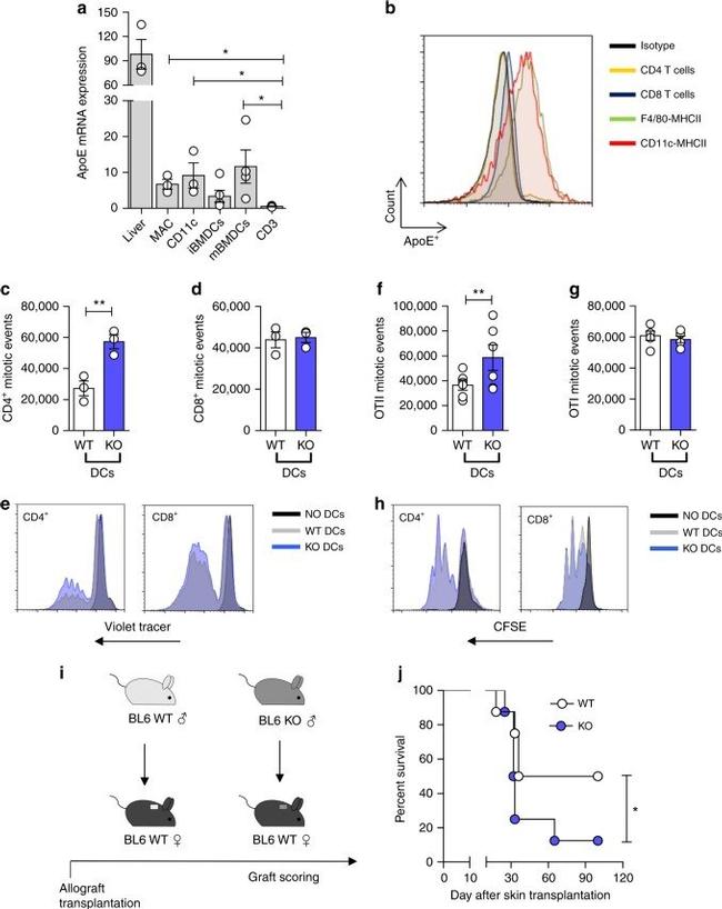 MHC Class II (I-A/I-E) Antibody in Flow Cytometry (Flow)