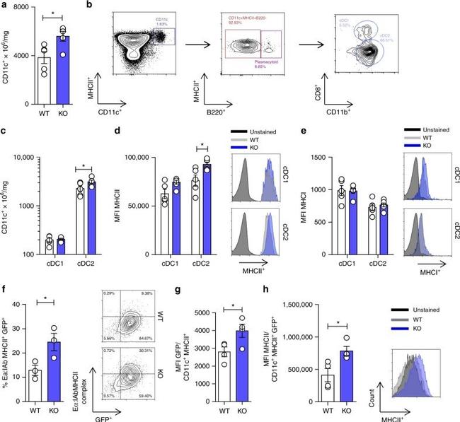 Ea52-68 peptide bound to I-Ab Antibody in Flow Cytometry (Flow)