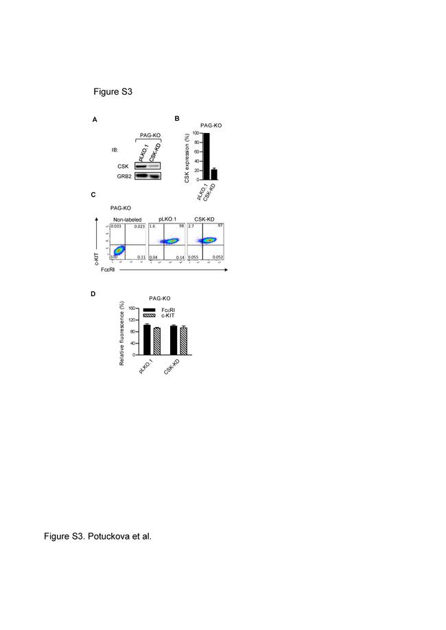 CD117 (c-Kit) Antibody in Flow Cytometry (Flow)