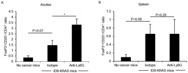 CD4 Antibody