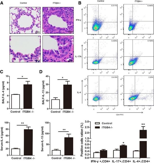 IL-17A Antibody in Flow Cytometry (Flow)