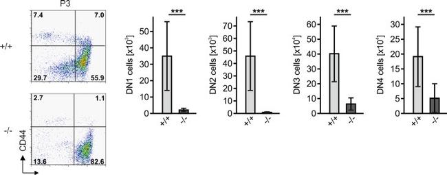 TCR beta Antibody in Flow Cytometry (Flow)