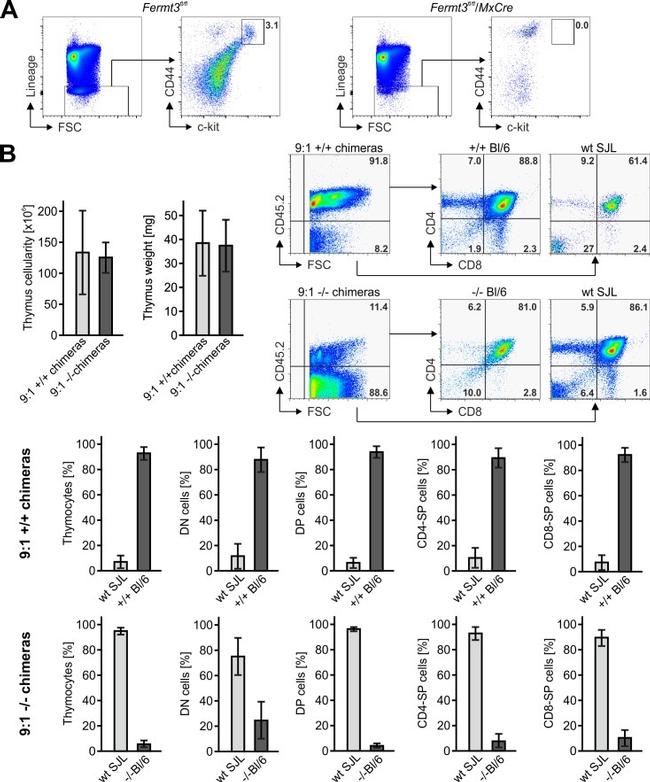 TCR beta Antibody in Flow Cytometry (Flow)