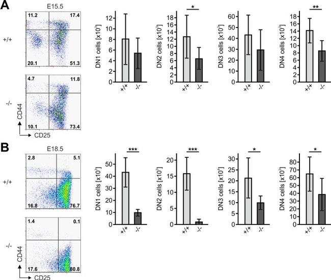 TCR beta Antibody in Flow Cytometry (Flow)