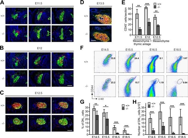 TCR beta Antibody in Flow Cytometry (Flow)