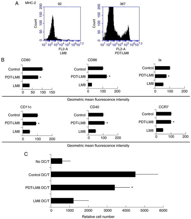 CD80 (B7-1) Antibody in Flow Cytometry (Flow)