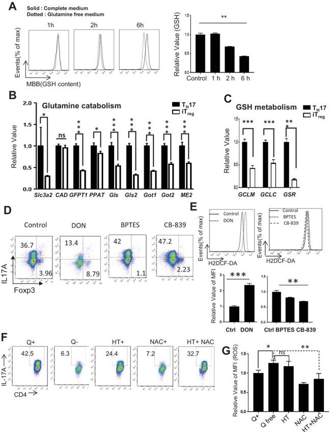 CD4 Antibody in Flow Cytometry (Flow)