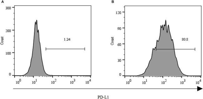 CD3 Antibody in Flow Cytometry (Flow)