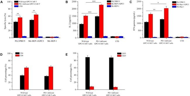 CD25 Antibody in Flow Cytometry (Flow)