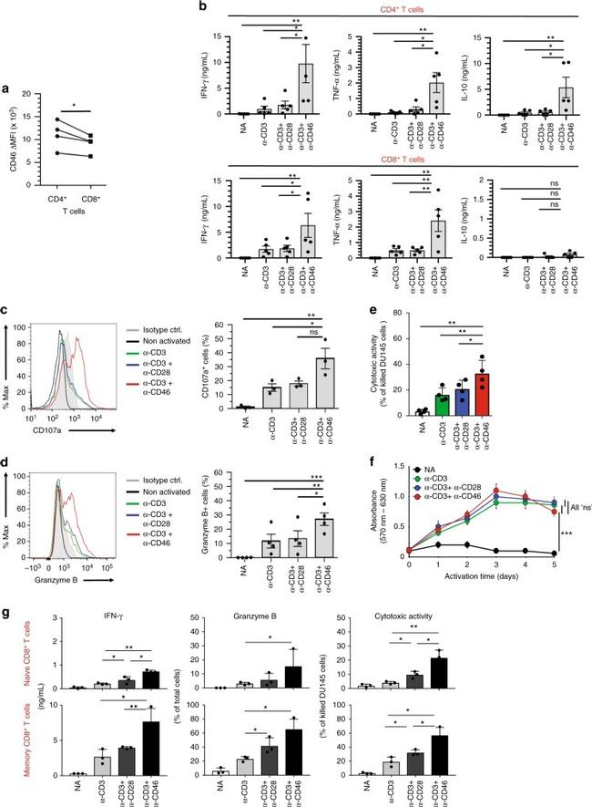 CD107a (LAMP-1) Antibody in Flow Cytometry (Flow)