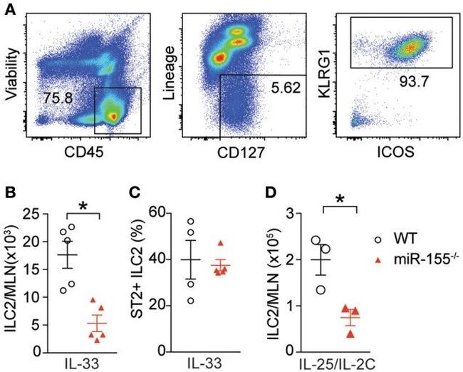 CD278 (ICOS) Antibody in Flow Cytometry (Flow)