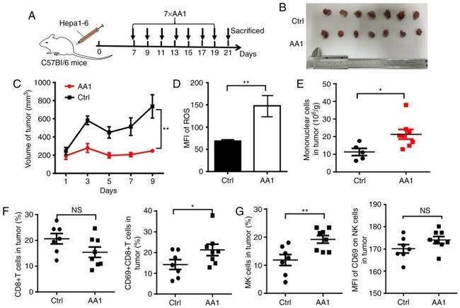 CD8a Antibody in Flow Cytometry (Flow)