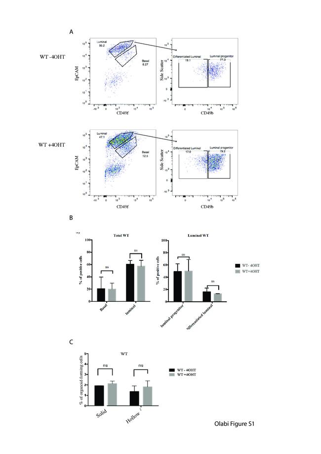 CD49f (Integrin alpha 6) Antibody in Flow Cytometry (Flow)