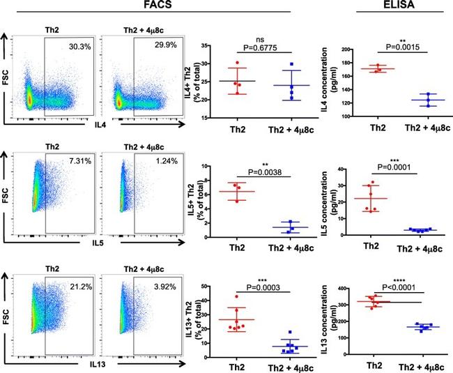 IL-4 Antibody in Flow Cytometry (Flow)