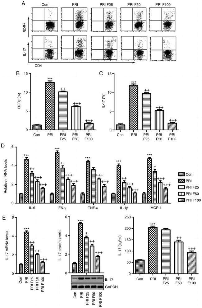 ROR gamma (t) Antibody in Flow Cytometry (Flow)