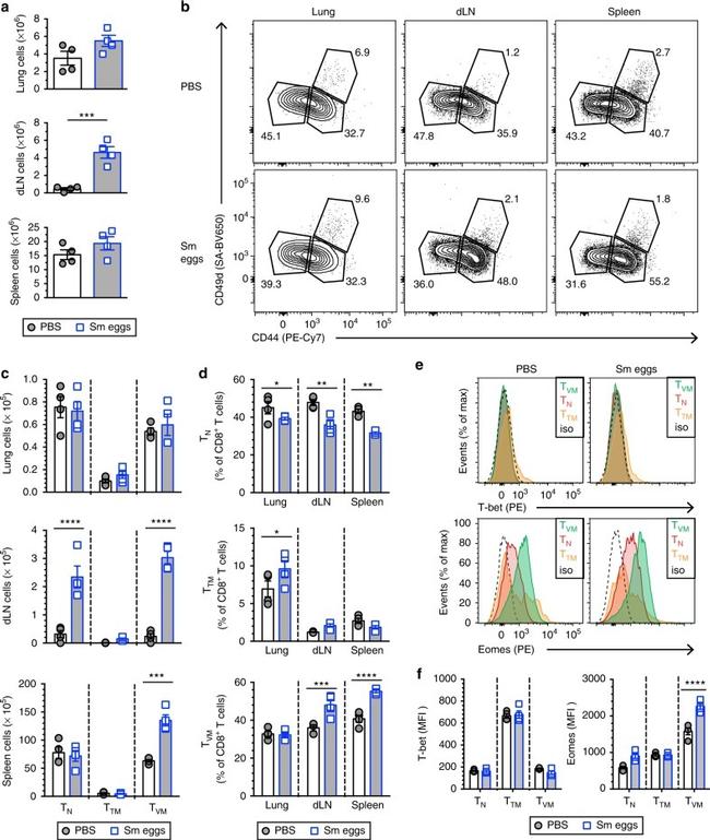 CD49d (Integrin alpha 4) Antibody in Flow Cytometry (Flow)