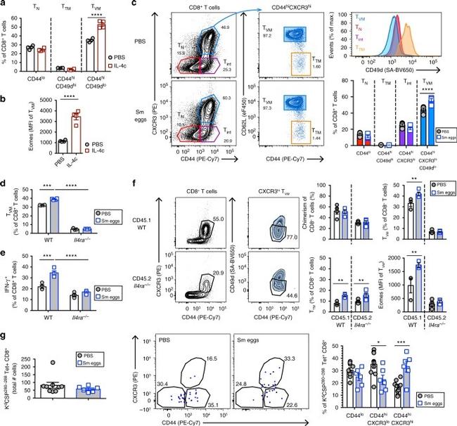 CD49d (Integrin alpha 4) Antibody in Flow Cytometry (Flow)