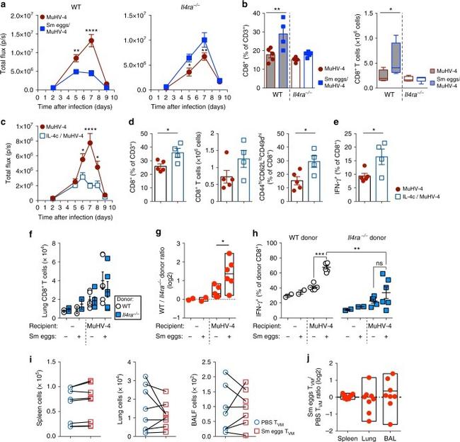 CD49d (Integrin alpha 4) Antibody in Flow Cytometry (Flow)