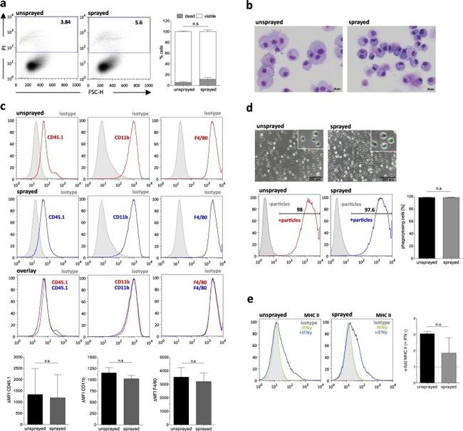 CD45.1 Antibody in Flow Cytometry (Flow)