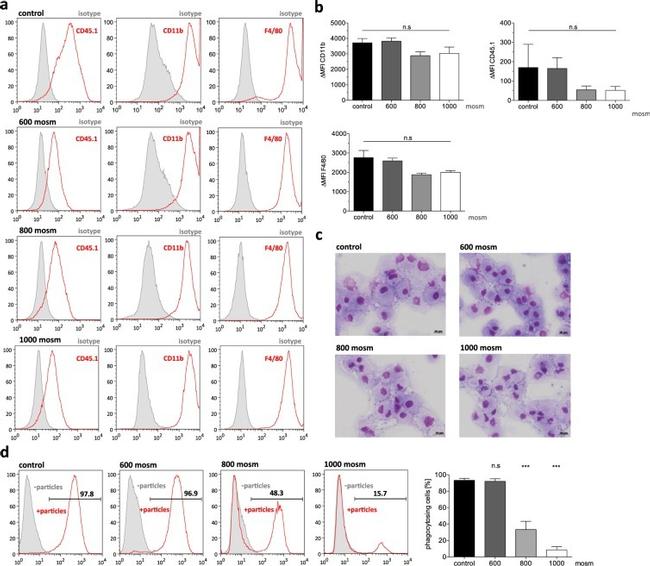 CD45.1 Antibody in Flow Cytometry (Flow)