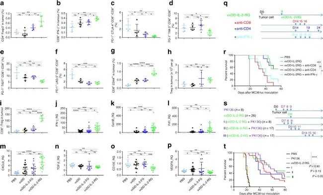 CD4 Antibody in Flow Cytometry (Flow)