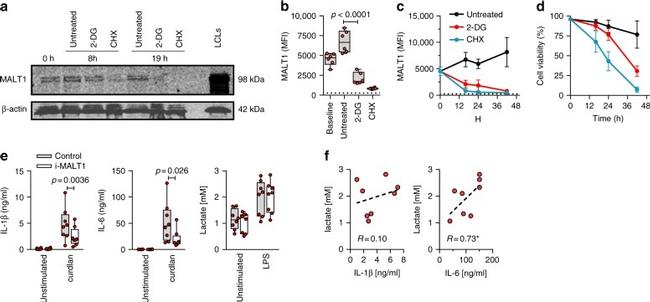 CD14 Antibody in Flow Cytometry (Flow)